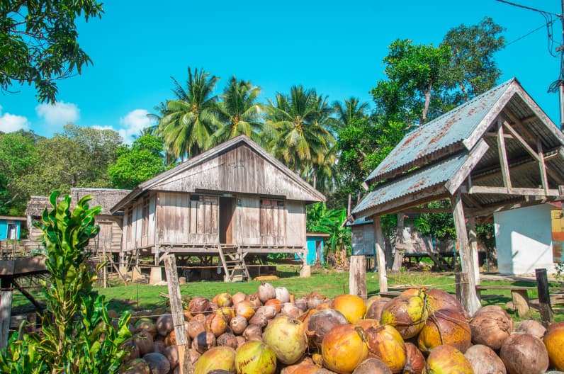 Rumah adat dan kelapa Muna