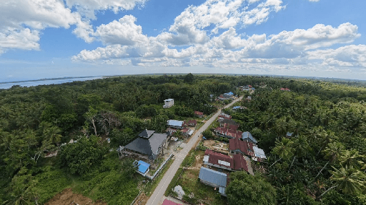 Produktivitas Nilam di Komba-Komba